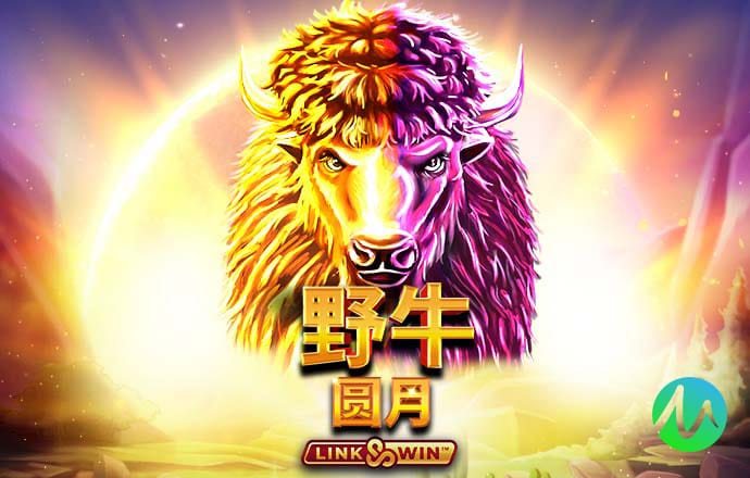 新澳门资料1688